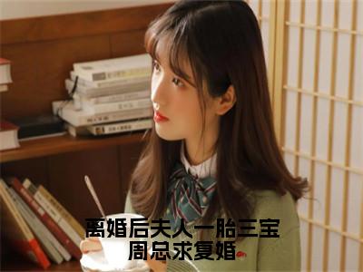 离婚后夫人一胎三宝周总求复婚（程知微周霖）全文免费阅读无弹窗大结局_（程知微周霖）小说免费阅读最新章节列表