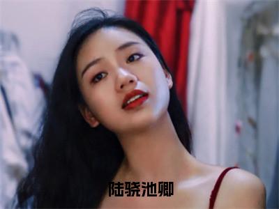 陆骁池卿（池卿陆骁小说）小说全文免费阅读_池卿陆骁小说下载_最新章节列表（陆骁池卿）