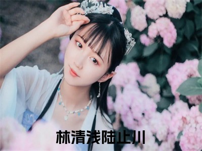 林清浅陆止川精选言情小说- 林清浅陆止川全文在线阅读