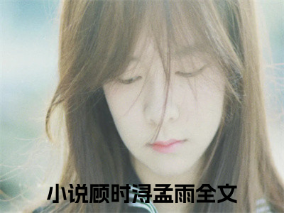 顾时浔孟雨免费阅读大结局无弹窗-小说推荐顾时浔孟雨精彩章节在线阅读