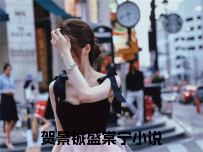 贺景铖盛棠宁（贺景铖盛棠宁）全文免费阅读大结局-贺景铖盛棠宁最新章节列表免费阅读大结局