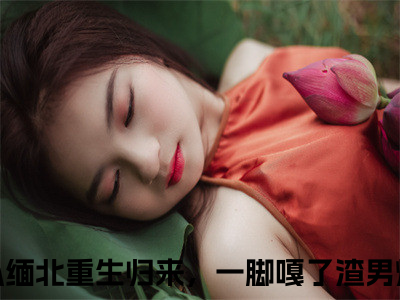 （我从缅北重生归来，一脚嘎了渣男免费+番外）靳斯言陆知夏高质量小说我从缅北重生归来，一脚嘎了渣男推荐阅读-靳斯言陆知夏小说最新章节