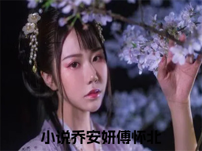 乔安妍傅怀北已完结小说全集阅读（乔安妍傅怀北完整版大结局）乔安妍傅怀北小说全文阅读