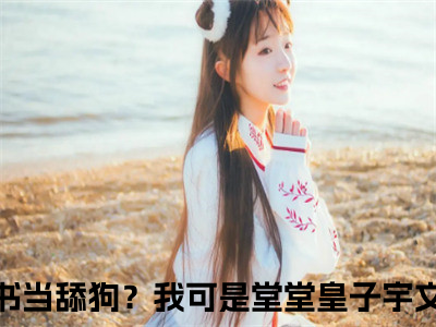 主人公叫穿书当舔狗？我可是堂堂皇子宇文浅的小说穿书当舔狗？我可是堂堂皇子宇文浅哪里免费看