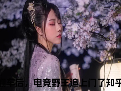 网恋翻车后，电竞野王追上门了小说在线阅读东方宸云深无广告小说免费在线阅读