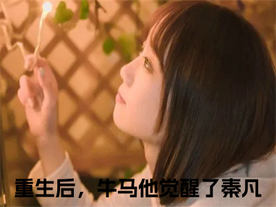 重生后，牛马他觉醒了秦凡小说全文免费阅读无弹窗，重生后，牛马他觉醒了秦凡在线阅读无弹窗