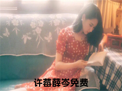 许莓薛岑全文（许莓薛岑）全文免费阅读无弹窗大结局_许莓薛岑免费最新章节列表_