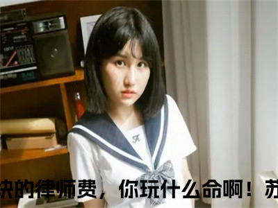 几百块的律师费，你玩什么命啊！苏青柏小说（几百块的律师费，你玩什么命啊！苏青柏）全文免费阅读无弹窗_几百块的律师费，你玩什么命啊！苏青柏全文免费阅读无弹窗最新章节列表