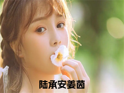 陆承安姜茵推荐免费新书 -陆承安姜茵小说阅读无弹窗