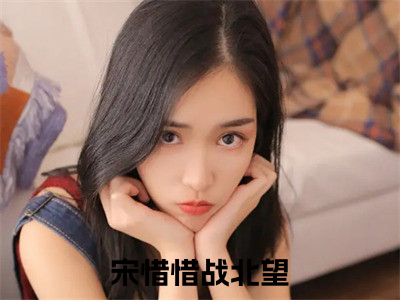 宋惜惜战北望小说最新章节（宋惜惜战北望）全文免费阅读无弹窗大结局_宋惜惜战北望免费阅读（宋惜惜战北望小说）