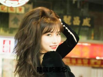 （陆庭屿唐念）唐念陆庭屿小说小说全文免费唐念陆庭屿读最新章节列表（陆庭屿唐念）