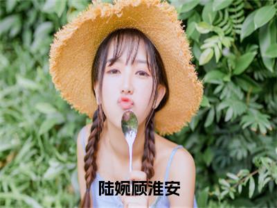 陆婉顾淮安（顾淮安陆婉）全文免费阅读无弹窗大结局_（顾淮安陆婉）小说免费阅读最新章节列表