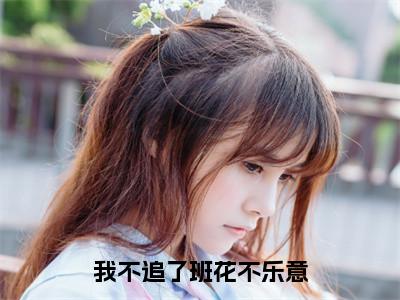 小说我不追了班花不乐意免费阅读-（许岩）我不追了班花不乐意最新章节小说阅读