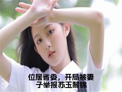 苏玉黎锦（位居省委，开局被妻子举报苏玉黎锦全文免费阅读）_苏玉黎锦小说最新章节免费阅读