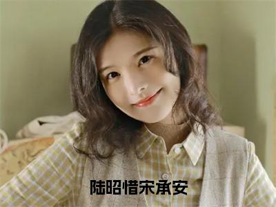 宋承安陆昭惜为陆昭惜宋承安的小说叫什么-最新小说陆昭惜宋承安全文阅读