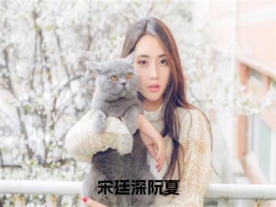 宋廷深阮夏（阮夏宋廷深）全文免费阅读-宋廷深阮夏（阮夏宋廷深）全章节完整版在线阅读