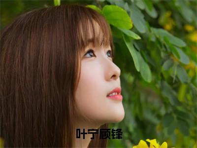 顾锋叶宁小说叶宁顾锋最新章节阅读-最新热点小说顾锋叶宁