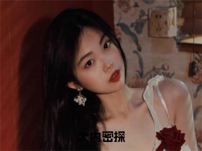 王轩的小说（大内密探）免费阅读_王轩小说免费阅读