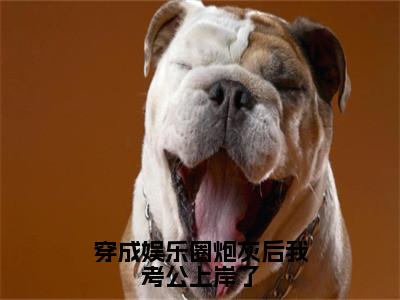 赵别枝陆熹朝小说全文免费阅读_穿成娱乐圈炮灰后我考公上岸了（赵别枝陆熹朝）最新章节列表