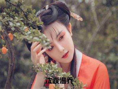 （沈渡温乔）完整版小说阅读，温乔沈渡小说精彩免费试读