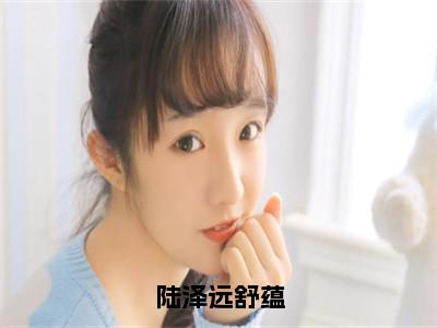 榜单小说陆泽远舒蕴全文免费阅读无弹窗大结局-陆泽远舒蕴全文在线阅读