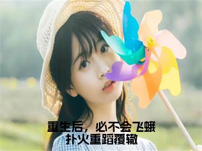 重生后，必不会飞蛾扑火重蹈覆辙小说（沈御京叶乐妍）全文免费阅读无弹窗大结局_（沈御京叶乐妍免费阅读）最新章节列表_（沈御京叶乐妍）