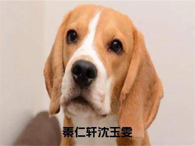 沈玉雯秦仁轩（秦仁轩沈玉雯）全文免费阅读_沈玉雯秦仁轩（秦仁轩沈玉雯）免费在线阅读_