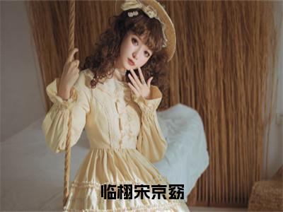 临栩宋京窈全文免费阅读无弹窗大结局-临栩宋京窈最新章节列表免费阅读