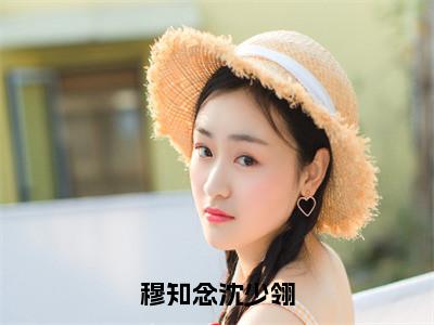 穆知念沈少翎（沈少翎穆知念）全文免费阅读无弹窗大结局_穆知念沈少翎免费阅读最新章节列表_（沈少翎穆知念）