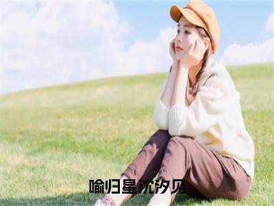 沈汐见喻归星全文免费阅读无弹窗大结局_（喻归星沈汐见阅读全文大结局）沈汐见喻归星最新章节列表（喻归星沈汐见）