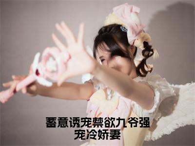 小说蓄意诱宠禁欲九爷强宠冷娇妻（季寒琛许清韵小说免费阅读）完结阅读_蓄意诱宠禁欲九爷强宠冷娇妻全文免费阅读最新章节大结局