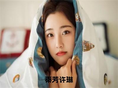 秦芳许琳是什么小说-许琳秦芳免费小说在线阅读