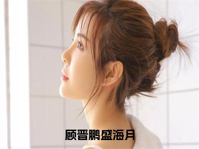 （顾晋鹏盛海月）盛海月顾晋鹏小说全文免费阅读无弹窗大结局_盛海月顾晋鹏（顾晋鹏盛海月）最新章节列表