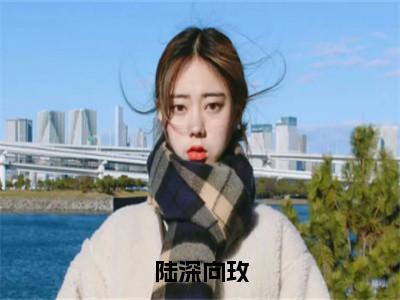 陆深向玫全文免费阅读无弹窗大结局-向玫陆深小说在哪里可以看