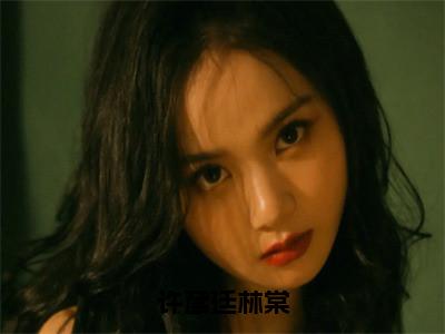 林棠许彦廷小说免费阅读林棠许彦廷小说在哪里可以看