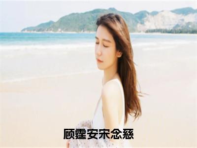 顾霆安宋念慈（宋念慈顾霆安）全文免费阅读无弹窗_（宋念慈顾霆安）小说最新章节列表