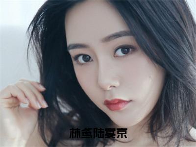 陆宴京林鸢小说（林鸢陆宴京已完结小说全集完整版大结局）林鸢陆宴京小说全文阅读