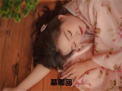 慕卿回（苏幼青）小说精彩免费内容_慕卿回苏幼青最新章节全文阅读