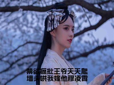 禁欲疯批王爷天天爬墙头哄我嫁他穆凌霄（穆凌霄）全文免费阅读无弹窗_（禁欲疯批王爷天天爬墙头哄我嫁他穆凌霄小说免费阅读）最新章节列表