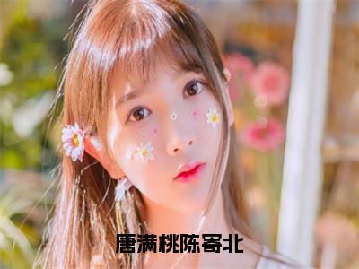 小说《唐满桃陈寄北》全文免费阅读无弹窗-唐满桃陈寄北小说全文在线赏析_