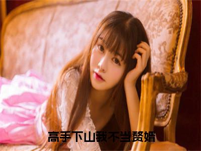 高手下山我不当赘婿全文免费阅读无弹窗大结局-李沐尘无弹窗阅读