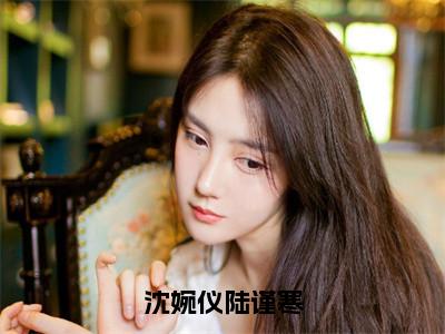 沈婉仪陆谨寒（沈婉仪陆谨寒）全文免费阅读_沈婉仪陆谨寒免费阅读最新章节列表（沈婉仪陆谨寒）