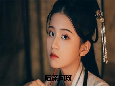 陆深向玫（向玫陆深）全文免费阅读无弹窗大结局_（向玫陆深）陆深向玫最新章节列表_