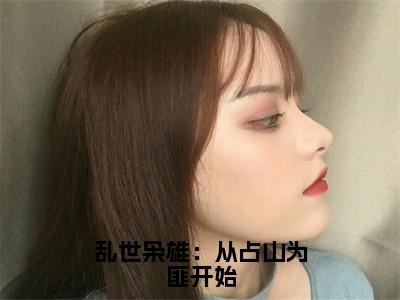 乱世枭雄：从占山为匪开始（聂辰）全文免费阅读无弹窗_聂辰小说_