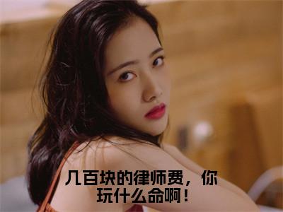 几百块的律师费，你玩什么命啊！（苏青柏）全文免费阅读无弹窗大结局_（几百块的律师费，你玩什么命啊！）最新章节列表_