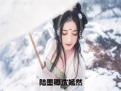 陆墨卿沈嫣然（沈嫣然陆墨卿）全文免费阅读无弹窗大结局_陆墨卿沈嫣然全文阅读_（沈嫣然陆墨卿）