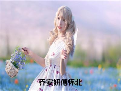 小说乔安妍傅怀北全文免费阅读无弹窗_（乔安妍傅怀北完结）乔安妍傅怀北小说免费阅读无弹窗最新章节列表