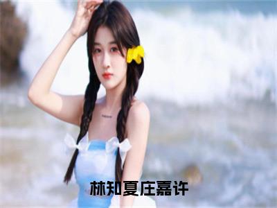 林知夏庄嘉许小说全文免费阅读无弹窗大结局_（林知夏庄嘉许全文免费阅读）林知夏庄嘉许最新章节列表