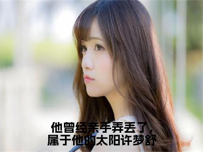 他曾经亲手弄丢了，属于他的太阳许梦舒（许梦舒顾飞）全文无弹窗大结局_他曾经亲手弄丢了，属于他的太阳许梦舒在线阅读无弹窗最新章节列表_