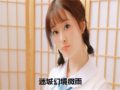 主角为微雨的小说（迷城幻境微雨）无弹窗大结局-最新小说迷城幻境微雨全文阅读最新章节列表_